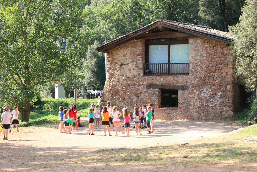 Teniu vigent l’assegurança?