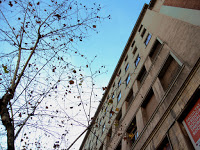 Rànquing QS i xarxa “glocal”