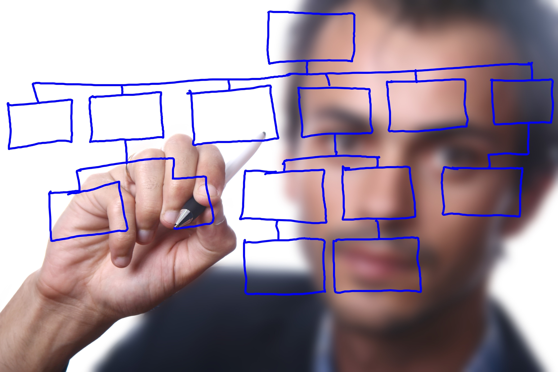 El treball per projectes: replantegem-nos els aspectes més bàsics