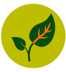 Colònies escolars i AMPA/AFA