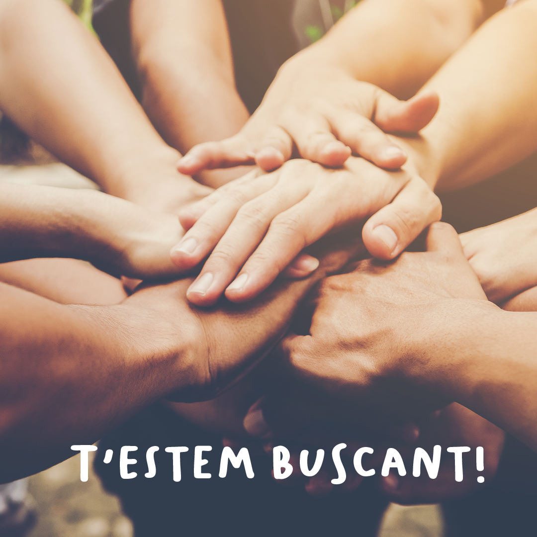 Vols ser Responsable de Projectes i Subvencions?