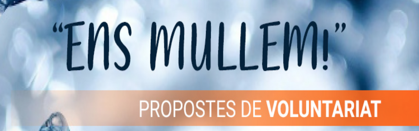 propostes voluntariat