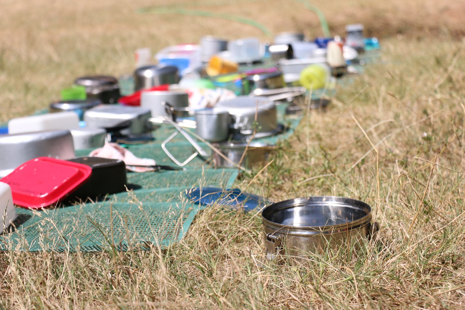 Nou especial a l'estris.cat sobre les activitats d'estiu!