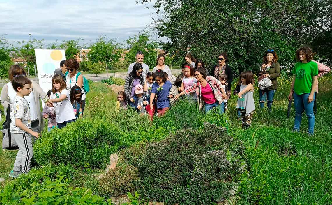 Sostenibilidad y medio ambiente