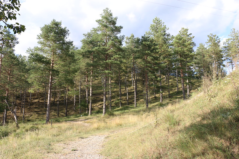 Recursos per a celebrar el dia del consum responsable a l'esplai