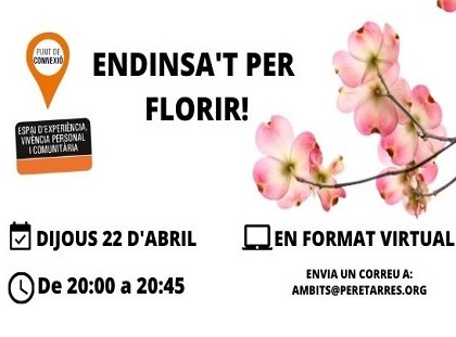 Nova sessió del Punt de Connexió!