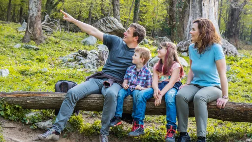 Família al bosc