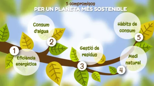 Gràfic de colònies d'estiu més sostenibles