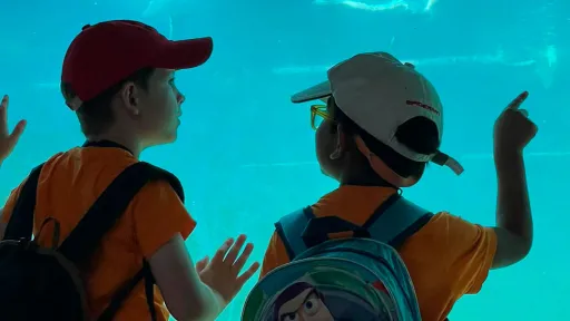 Infants d'un casal d'estiu visitant l'aquari