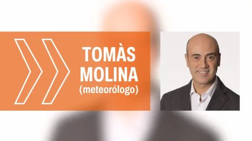 Les bones causes: Tomàs Molina