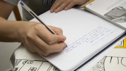 Integració planificada de migrants