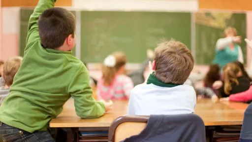 L'escola inclusiva i la figura del vetllador/a escolar