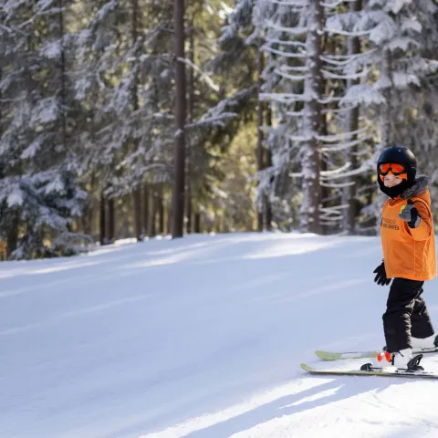 Nen esquiant a les colònies d'esquí en un bosc nevat